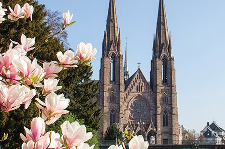 Alsace Church